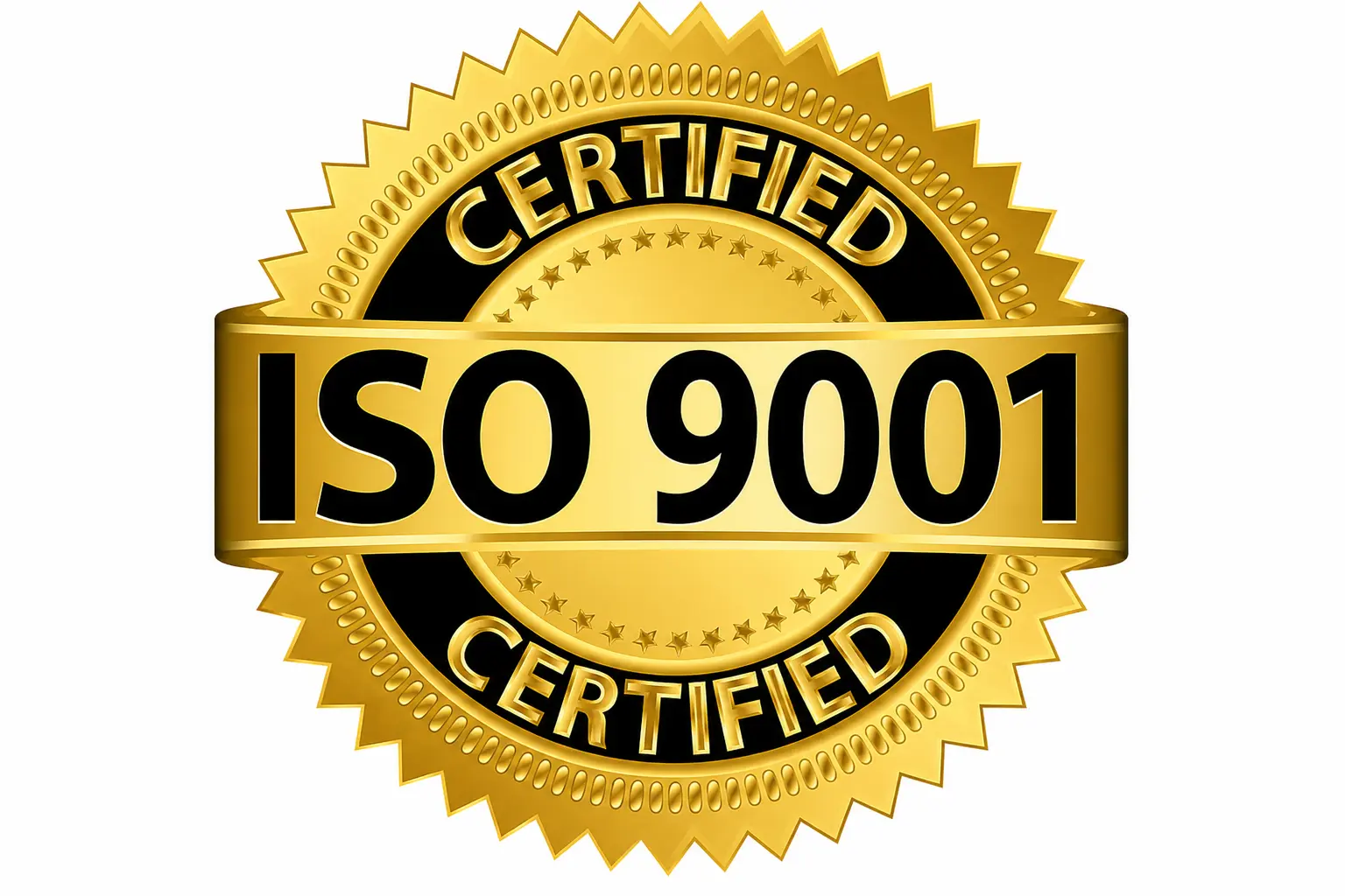 ISO Logo 1